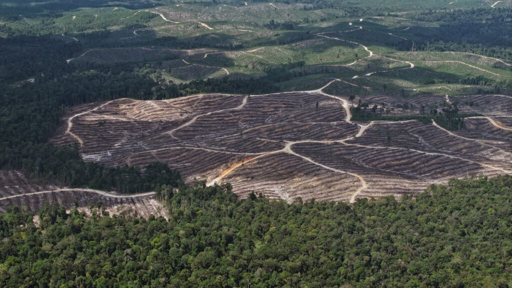 RGEグループの供給業者であるPT. SAKの事業管理地
