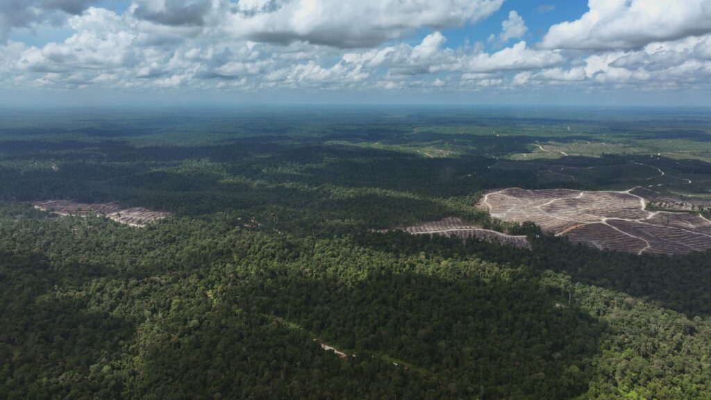 RGEグループの供給業者であるPT. SAKの事業管理地