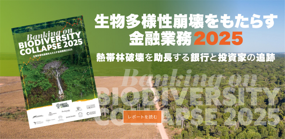 banner_BOBC_2025_website